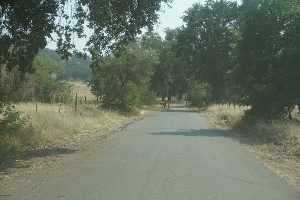 [Picture of Turner Road 1]